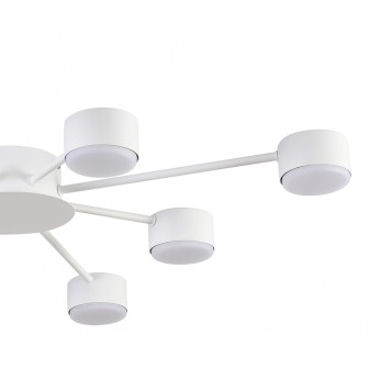 Светильник потолочный Lumion Torina 8343/8C-5