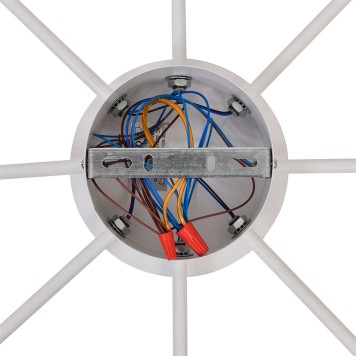 Светильник потолочный Lumion Torina 8343/8C-6