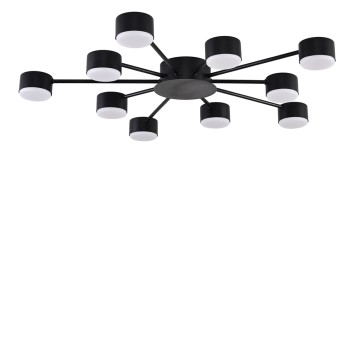 Светильник потолочный Lumion Torina 8344/10C-1