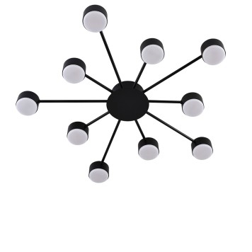 Светильник потолочный Lumion Torina 8344/10C-2