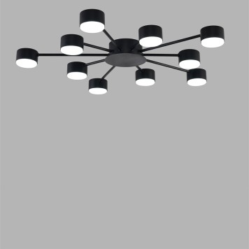 Светильник потолочный Lumion Torina 8344/10C-3