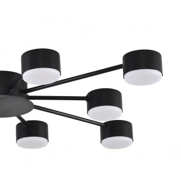 Светильник потолочный Lumion Torina 8344/10C-5