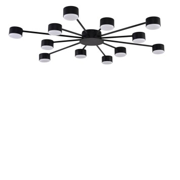 Светильник потолочный Lumion Torina 8344/12C-1