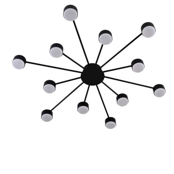 Светильник потолочный Lumion Torina 8344/12C-2