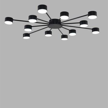 Светильник потолочный Lumion Torina 8344/12C-3