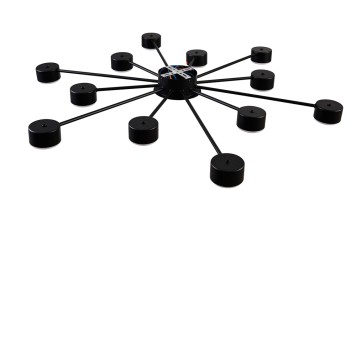 Светильник потолочный Lumion Torina 8344/12C-4