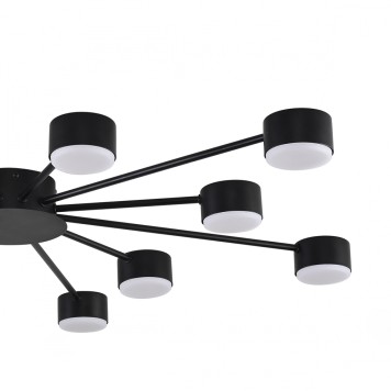 Светильник потолочный Lumion Torina 8344/12C-5