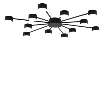 Светильник потолочный Lumion Torina 8344/12C