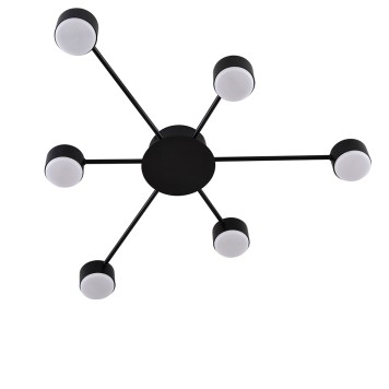 Светильник потолочный Lumion Torina 8344/6C-2