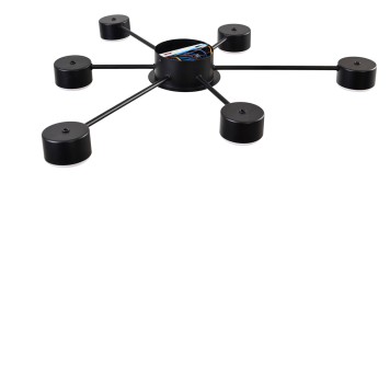 Светильник потолочный Lumion Torina 8344/6C-4