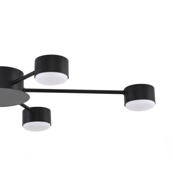 Светильник потолочный Lumion Torina 8344/6C-5