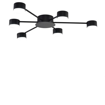 Светильник потолочный Lumion Torina 8344/6C