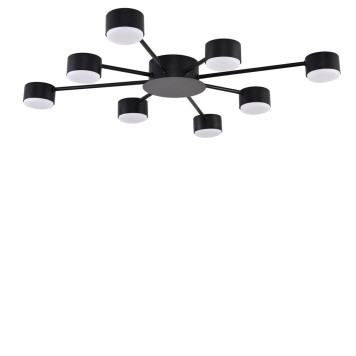 Светильник потолочный Lumion Torina 8344/8C-1