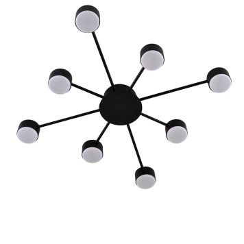 Светильник потолочный Lumion Torina 8344/8C-2