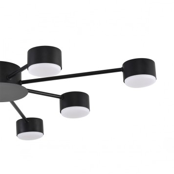 Светильник потолочный Lumion Torina 8344/8C-5