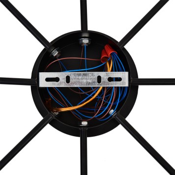 Светильник потолочный Lumion Torina 8344/8C-6