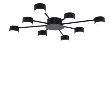 Светильник потолочный Lumion Torina 8344/8C