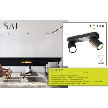 Спот Mantra Sal 6711-2