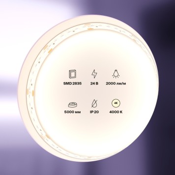 Светодиодная лента Maytoni Led strip Standard 24V 10155-4