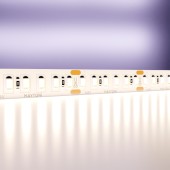 Светодиодная лента Maytoni Led strip Standard 24V 10155