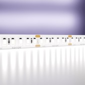 Светодиодная лента Maytoni Led strip Standard 24V 10156