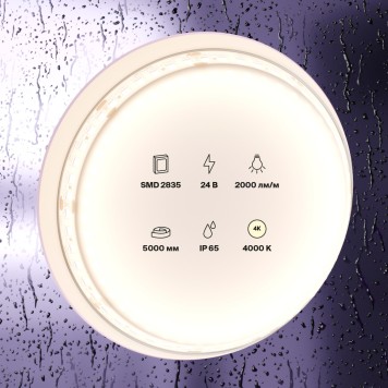 Светодиодная лента Maytoni Led strip Standard 24V 10158-5