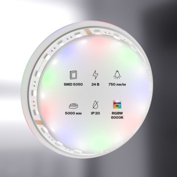 Светодиодная лента Maytoni Led strip Standard 24V RGB+W 10181-3