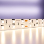 Светодиодная лента Maytoni Led strip Standard 24V 20034