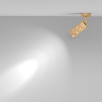 Светильник точечный Maytoni Focus Design C034CL-01G-7