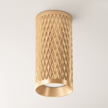 Светильник точечный Maytoni Focus Design C036CL-01G-2