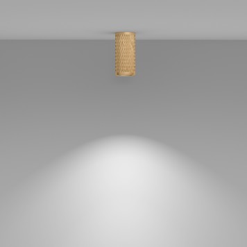 Светильник точечный Maytoni Focus Design C036CL-01G-4