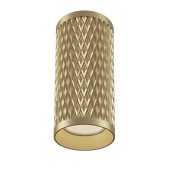 Светильник точечный Maytoni Focus Design C036CL-01G