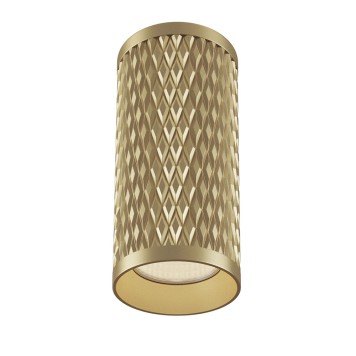 Светильник точечный Maytoni Focus Design C036CL-01G