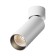 Светильник точечный Maytoni Focus LED C055CL-L12W3K-W-W