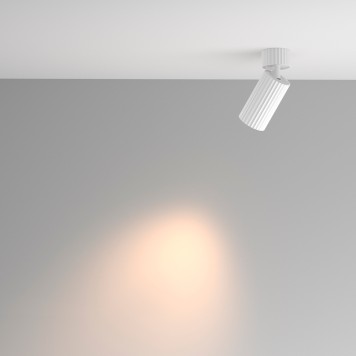 Светильник точечный Maytoni Calipso C108CL-01-GU10-W-2