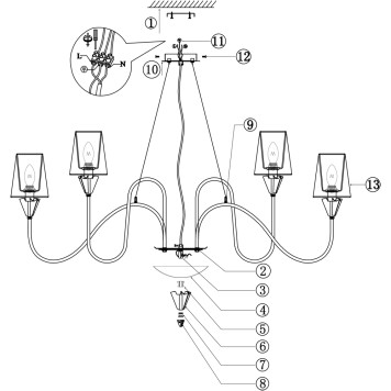 Люстра Maytoni Florero MOD078PL-12CH-5
