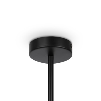 Люстра Maytoni Memory MOD177PL-04B-5