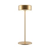 Лампа настольная Maytoni AI Collaboration MOD229TL-L3G3K2