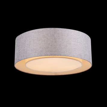 Светильник потолочный Maytoni Bergamo MOD613CL-04GR-3