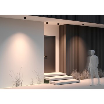 Уличный потолочный светильник Maytoni Ares O309CL-L8GF3K-2