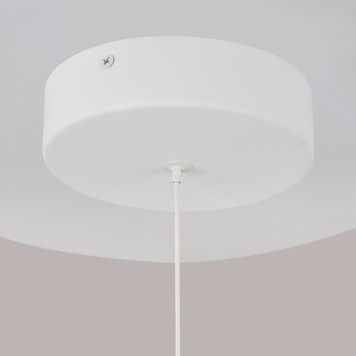 Люстра Maytoni Ray P021PL-L10W-4