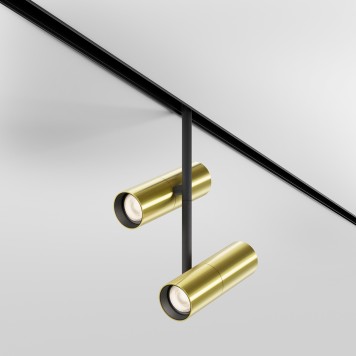 Трековый светильник Maytoni Exility Elti Duo TR005-4-2X12W-DS-BBS-2