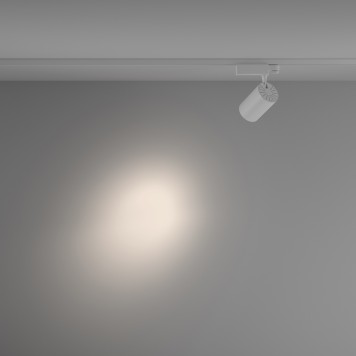 Трековый светильник Maytoni Trinity Vuoro TR029-3-20W4K-S-W-2
