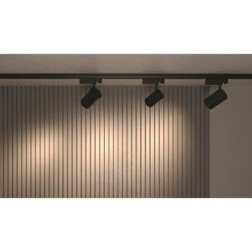 Трековый светильник Maytoni Trinity Vuoro TR029-3-30W3K-B-1