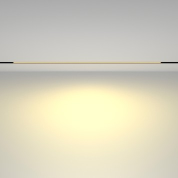 Трековый светильник Maytoni Exility Basis TR030-2-30W2.7K-B-2