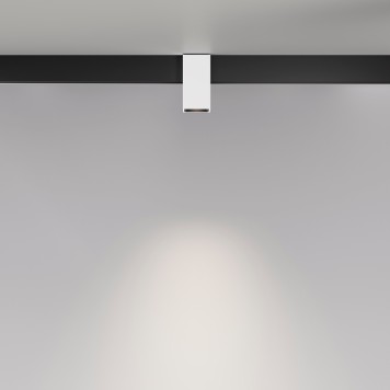 Трековый светильник Maytoni Exility Alfa TR121-2-7W4K-W-2