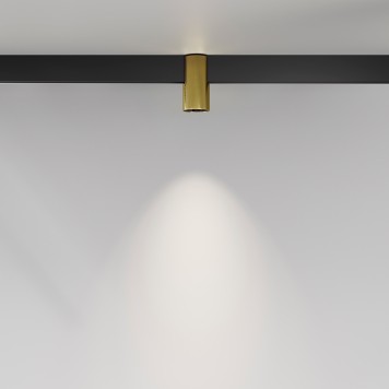 Трековый светильник Maytoni Exility Alfa TR122-2-7W4K-BS-1