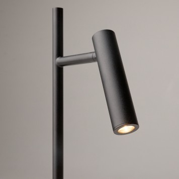 Торшер Maytoni Estudo Z010FL-L8B3K-8