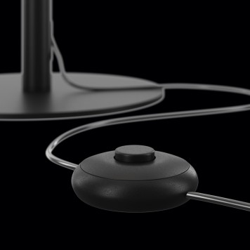 Торшер Maytoni Ray Z012FL-L18B3K-6