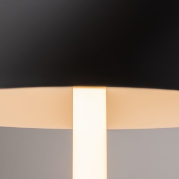 Лампа настольная Maytoni Ray Z012TL-L8B3K-3